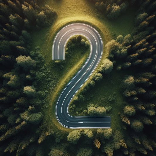 2 Hour Standard Lesson